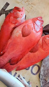 3.9K views · 133 reactions | Marka cadey  | Marka cadey TV | Facebook