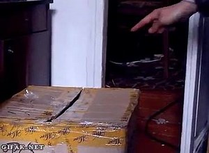 17K views · 219 reactions | Nie dotykaj, to moje! | o2 | Facebook