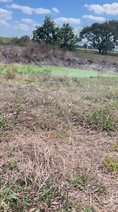 Gator hunting | Florida Outdoors Company