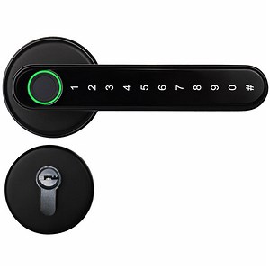 [Hot Item] Split Fingerprint Recognition Lock Smart Door Lock Double Mortise Version Work with Ttlock APP