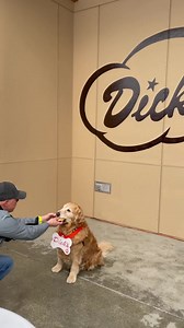 4.1K views · 133 reactions | All the celebrities came out for the Crossroads Grand Opening including the one and only @dash.dog | Dick's Drive In Restaurant | Facebook