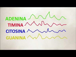 SEQUENCIAMENTO DE DNA