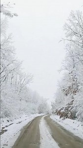 Humans Intrasexual Aggression😱🤯#shorts #youtubeshorts #humanbehavior #psycholgyfacts #trendingshorts