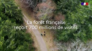 2.4K views · 115 reactions |  A l’Office national des forêts (ONF), ces femmes et ces hommes sont engagés pour que, aujourd’hui et demain, nous puissions tous profiter des bienfaits de la forêt : bois, promenades, biodiversité, puits de carbone… Redécouvrez les missions de l’Office au service de cette gestion DURABLE, en images !  https://www.onf.fr/nous-rejoindre. | Office national des forêts | Facebook