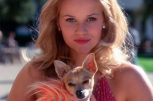 How to Watch the 'Legally Blonde' Cast Reunion