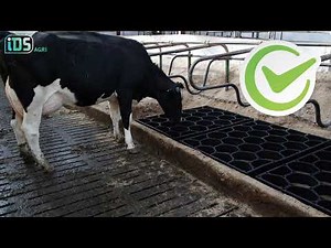 SAND installation for sand bedding freestall