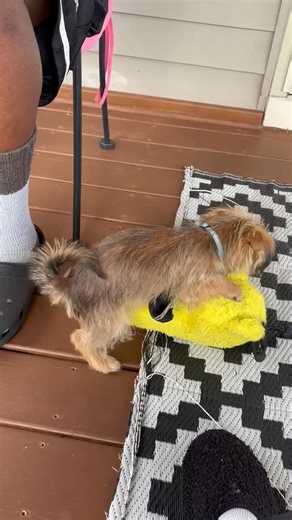 HUMPING AROUND | Eric Walker