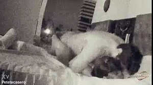 Cachando de misionero en el hotel (FLASH)