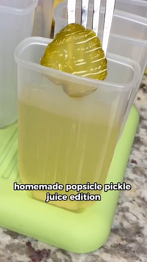 19K views · 128 reactions | Homemade popsicle pickle juice. What should we try next? #food #cooking #yum #pickles #popsicle #viral #reels | Noah Klein 614Lyfe | Facebook