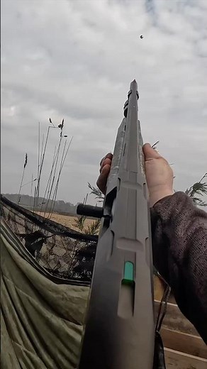 Decoying Wood Pigeon in the UK 🇬🇧 Fast Bird!!!! #hunting #hunt #birdhunting