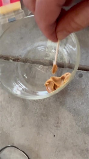 2.5K views · 33 reactions | I got rats in my attic! Here is where I'm at with it. #pestcontrol | The Lawn Care Nut - Allyn Hane | Facebook