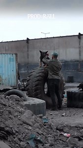 72K views · 1.7K reactions | Best team ✨️ Behind the scenes of...