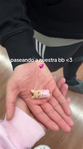 dani.canoo on TikTok