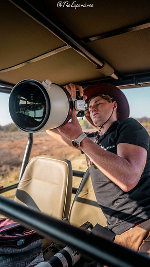 Photo Highlights from the Botswana Desert 🏜 ======= >>>>>>>>============ #Nature #naturevideo #naturepreserve #naturereels #naturelover #naturephotography #exploretheworld #photographer #wildanimals #widlifephotography #Wild #wildlife #safari #Botswana #nxaipan | The Experience Africa