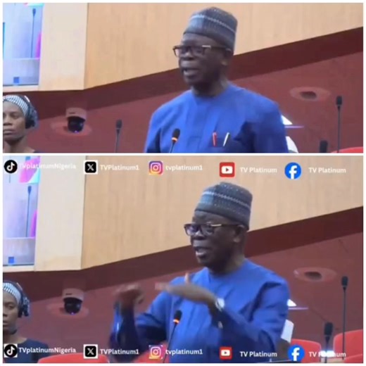 “Let us stop rigging Election & arm!ng thugs” -:Senator Adams Oshiomole tells his colleagues and other police This happened during the debate on Electoral Reforms in the Senate in Wednesday, October 22. 📹: platinumtv | Spynigeria.NG
