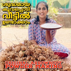 391K views · 11K reactions | ഒറിജിനൽ കൂവപ്പൊടി ഉണ്ടാക്കിയാലോ/how to make arrowroot powder at home/koovappodi making in village #howtomakearrowrootpowder #arrowrootpowdermakingprocess #koovappodi #villagecooking #villagerecipes #villagelife #villagefoods | Leafy Kerala | Facebook