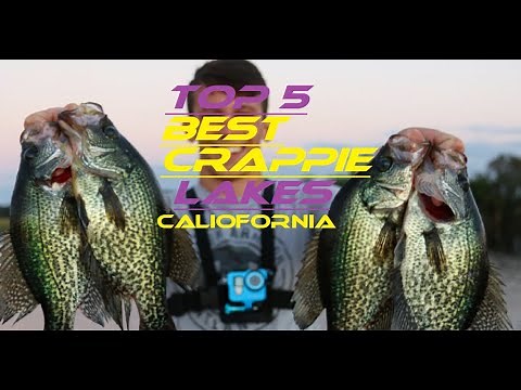 Best Crappie Lakes In California (Top 5)