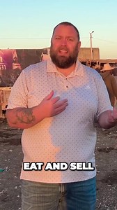 59 reactions | “Providing these sheep and donkeys is giving these...