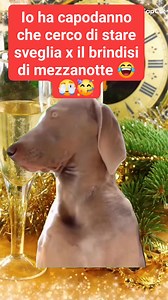 IOOOOOOO 🤣🤣🤣🤣🤣🤣🤣🤣🤣🤣 | D&D