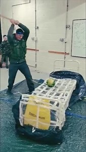 13 reactions | This guy definitely seems ready to kick some zombie ass!!  Come and join us next time at our Zombie Training Academy￼! Learn how to survive the apocalypse￼ and then join the infected  Click the link below for more information and to book your tickets! https://zombieinfection.rezdy.com/335176/somerset-zombie-training-academy-age-12 | Zombie Infection | Facebook