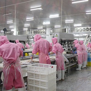 [Hot Item] Halal Chicken Slaughter Muslim Slaughterhouse Chicken Breast Flattening Machine Chicken Breast Machine