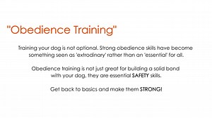 ‼️ 7 Tips to Better Behaviour ‼️ Tip #4 Training your dog is not optional, it’s a requirement, something you dedicate yourself to the moment you bring home that beautiful animal. However, the art of strong obedience seems to be on the decline and the simplest of skills are seen as AMAZING, when in reality they should be something every companion dogs should be achieving. Not only to help develop a well-rounded and behaved canine citizen but for pure SAFETY FOR ALL! Without a strong foundation, t
