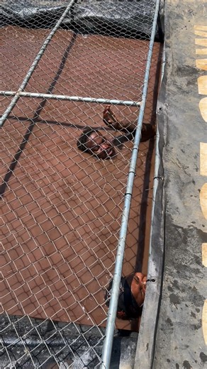 6.5K views · 24 reactions | Confronting your fears with terrifying challenges is what Tough Mudder is all about   Push yourself and sign up today 朗 Sign up today Link in Bio #toughmudder #toughertogether | Tough Mudder | Facebook