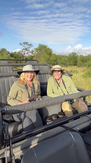 African Safari Adventure with Lions, Tigers, and Bears