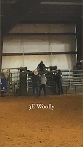3.7K views · 68 reactions | #bartrodeo #buckinghorses #upcomingstar | Legacy Pro Rodeo | Facebook