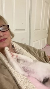 2.6K views · 583 reactions | Snuggle time with Matisse  . #met_kitties | Foster Kitten Tails | Facebook