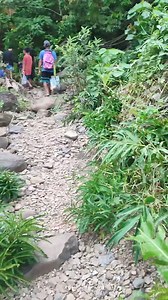 1.3K views · 54 reactions | Real Pandan treasure hunt exploration with Map. | Kanji Kin | Facebook