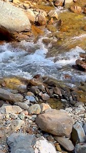 40K views · 966 reactions | Neele Gagan Ke Tale Sweet Water | Nature Explore | Facebook