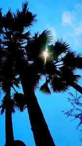 21K views · 921 reactions | Aadha ghanta per chadhne wala #dans #bhojpuri reels | Sunita creator | Facebook