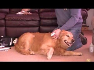 How to Staple a Skin Laceration and Properly Remove a Bandage.