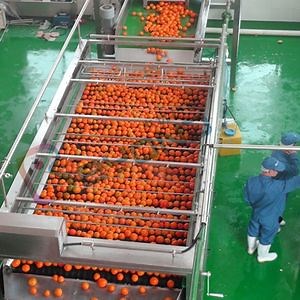 [Hot Item] Fruit processing equipment stainless steel fruit sorting equipment