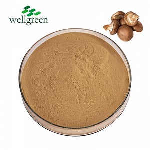 [Hot Item] Standardized 30% Beta Glucan Shiitake Mushroom Extract Powder for Immune & General Health Support
