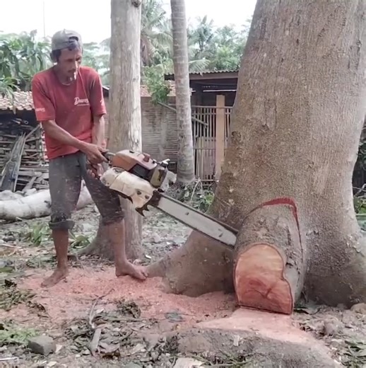 مؤسسة وعي Waay Foundation on Reels