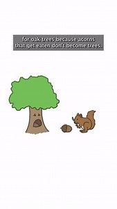 Instead of creating the same amount of seeds yearly, some trees save up their reproductive energy for the occasional tree sex bonanza. Yes, that phrase is actually in an educational video. #funfact #tree | MinuteEarth | Facebook