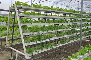 [Hot Item] Nft Growing Systems Channel PVC Hydroponic Pipe Nft Channel 100X50mm