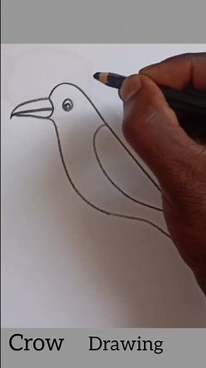 crow drawing easy