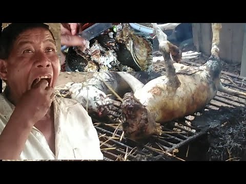 How to cook dog meat