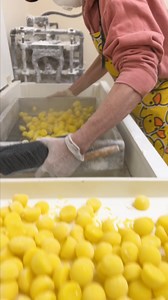 This Never Fails to Satisfy!! Candy Making 🤤🤤 | Hercules Candy Co