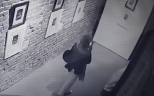 Tablourile a doi pictori celebri, deteriorate de o tânără care voia să își facă un selfie