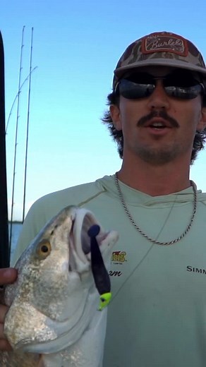 The workhorse setup for @jodymorrisonnn 💥 3/8 oz @knotty_hooker_jigheads paired with our 4” Paddle Tail on the iconic @fishingtackleunlimited Full Cork Green Rod | KWigglers Lure Co.