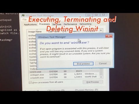 Executing, Terminating and Deleting Wininit | The Tech Boy