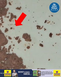 Video Report | A shocking incident emerged from the oil town of Digboi, where a woman discovered worms in a Dairy Milk Silk Bubbly chocolate bar that she purchased for her daughter. The shocking discovery has raised concerns about food safety and quality control in products manufactured by companies. Read More: https://assamtribune.com/assam/worms-found-in-dairy-milk-silk-chocolate-in-digboi-1540703 #theassamtribune #Digboi #worms #DiaryMilkSilk | The Assam Tribune