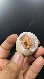 Amazing baby chicken hatching | Soban Inventions