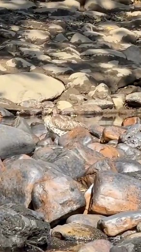 3.8K views · 109 reactions | Kayak, rod, and the great outdoors. Went fishing… just up just soaking in the scenery. Couldn’t ask for better.  #greatoutdoors #outdoorlife #onthewater | Creek Fishing Adventures | Facebook