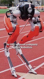 Cassie the robot, invented at the Oregon State University College of Engineering and produced by OSU spinout company Agility Robotics, has established a Guinness World Record for the fastest 100 meters by a bipedal robot. Video credits: Oregon State University #robotics #technology #engineering #stem #innovation #robots #GuinnessWorldRecord #Cassie | Wevolver.com