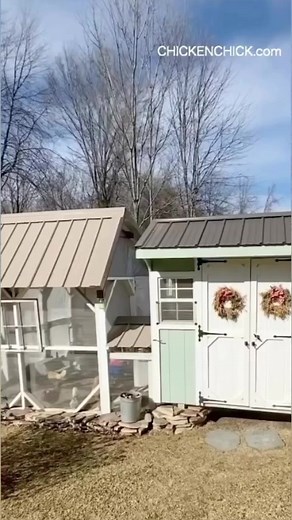 Dirty Deed DONE. Chicken Run Cleaned in 5 minutes a day! Backyard chickens need a clean, dry living space to be healthy; the purpose of litter in the coop and run is to facilitate cleaning & keep their environment DRY. Sand excels as chicken litter! It’s easy to clean, doesn’t foster the growth of pathogens or parasites the way biodegradable litters do, and it’s wicked inexpensive! Visit my website for info on the CORRECT sand types for this purpose (NEVER use play sand) and more details about i